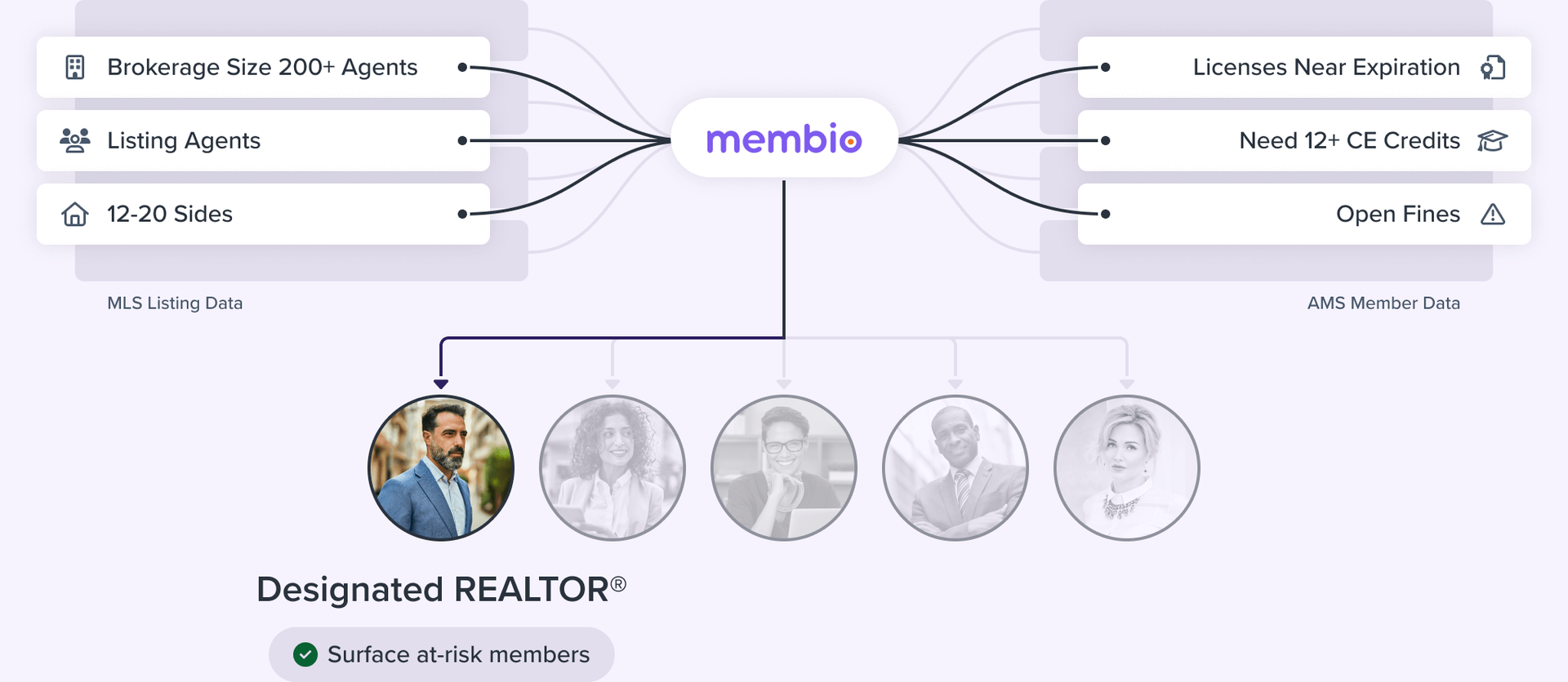Designated REALTOR® (Surface at-risk members)