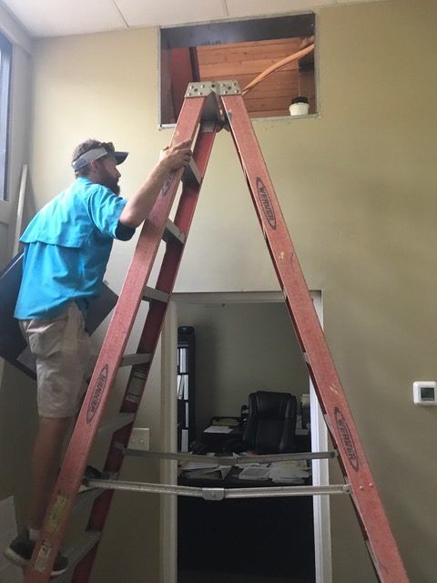 Man on a stepladder looking into a ceiling opening in an office. Red ladder against a beige wall.