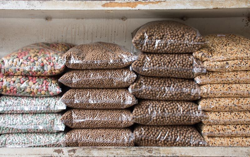 A Shelf Filled With Lots of Bags of Dog Food — Palms Vets–Hermit Park in Hermit Park, QLD