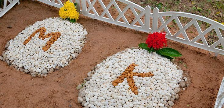A Grave for a Dog is Decorated With Rocks and Flowers — Palms Vets–Hermit Park in Hermit Park, QLD