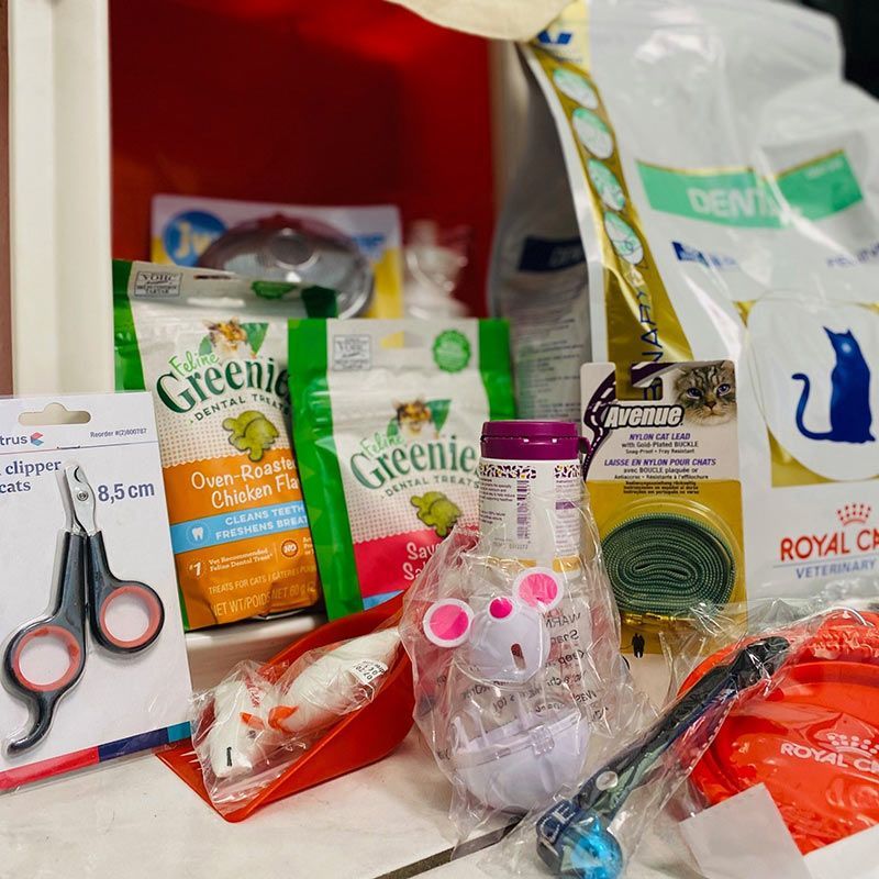 Shelves of Cat Food and Toys— Palms Vets–Hermit Park in Hermit Park, QLD