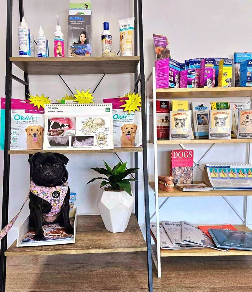 Two Jars of Dog Treats and Gummy Worms Are Sitting on a Wooden Table — Palms Vets–Hermit Park in Hermit Park, QLD