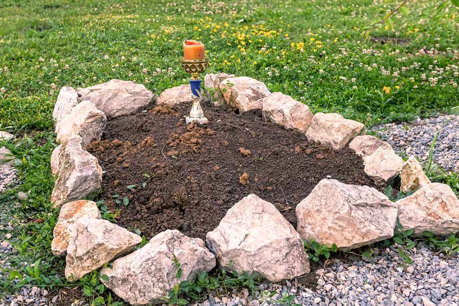 A Rock Garden With a Candle in the Middle of It — Palms Vets–Hermit Park in Hermit Park, QLD