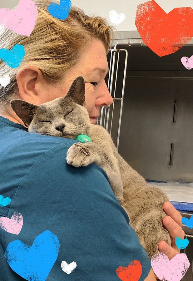 A Woman is Holding a Cat in Her Arms With Hearts Around Them — Palms Vets–Hermit Park in Hermit Park, QLD