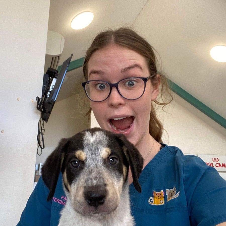 A Woman Wearing Glasses is Holding a Puppy in Her Arms — Palms Vets–Hermit Park in Hermit Park, QLD