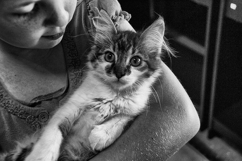 A Woman is Holding a Kitten in Her Arms in a Black and White Photo — Palms Vets–Hermit Park in Hermit Park, QLD