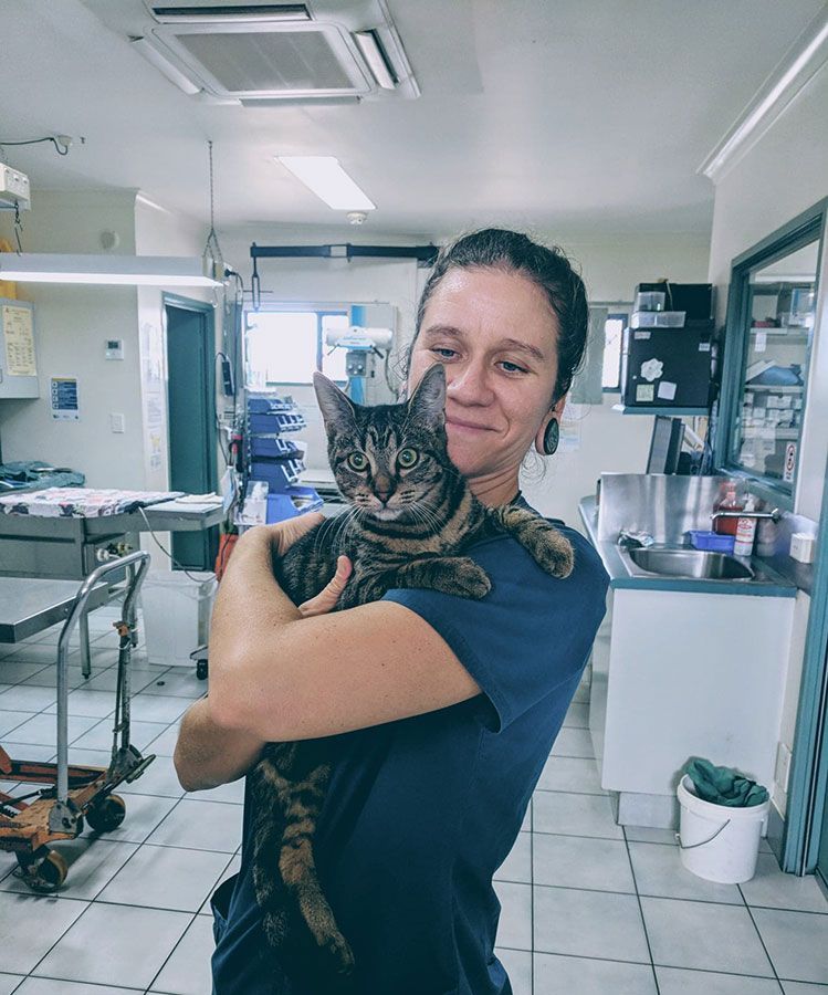 A Woman is Holding a Cat in Her Arms in a Veterinary Office — Palms Vets–Hermit Park in Hermit Park, QLD