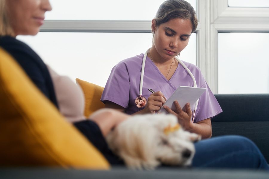 A Woman is Sitting on a Couch With a Dog While a Nurse Writes on a Clipboard — Palms Vets–Hermit Park in Hermit Park, QLD
