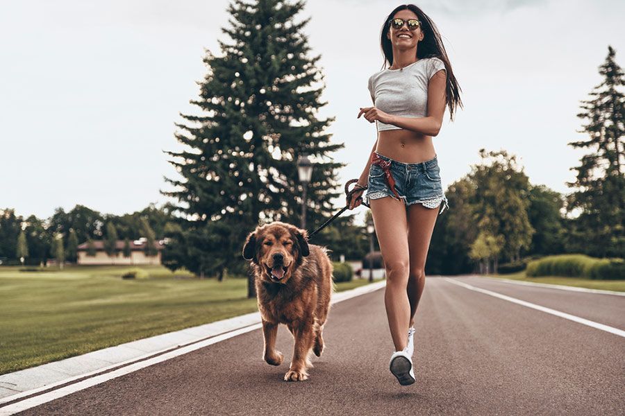 A Woman is Walking a Dog on a Leash Down a Road — Palms Vets–Hermit Park in Hermit Park, QLD