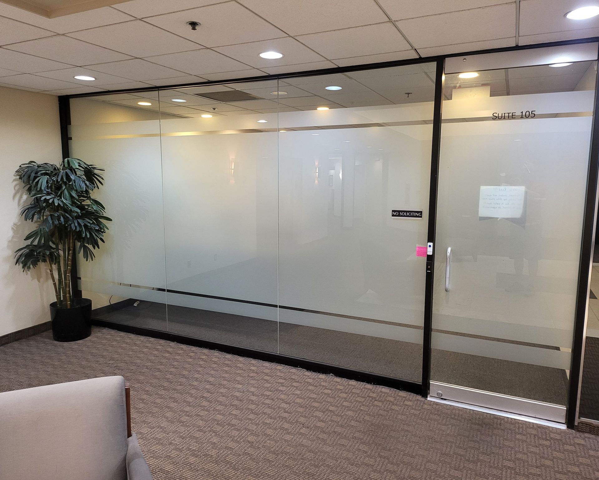 A room with a plant and a couch in it