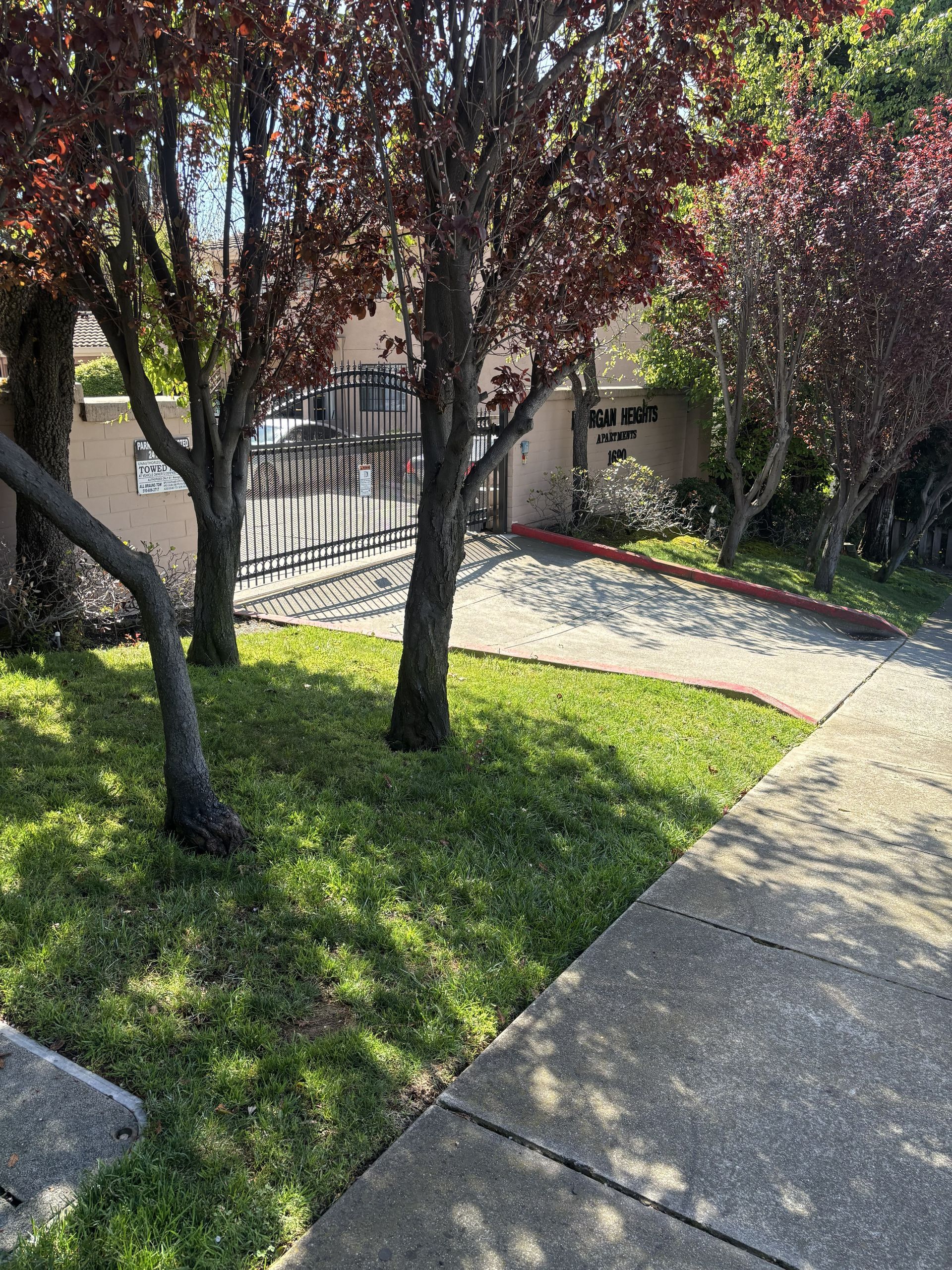 A concrete driveway leads to a gated residential entrance surrounded by trees with purple leaves and a grass lawn.