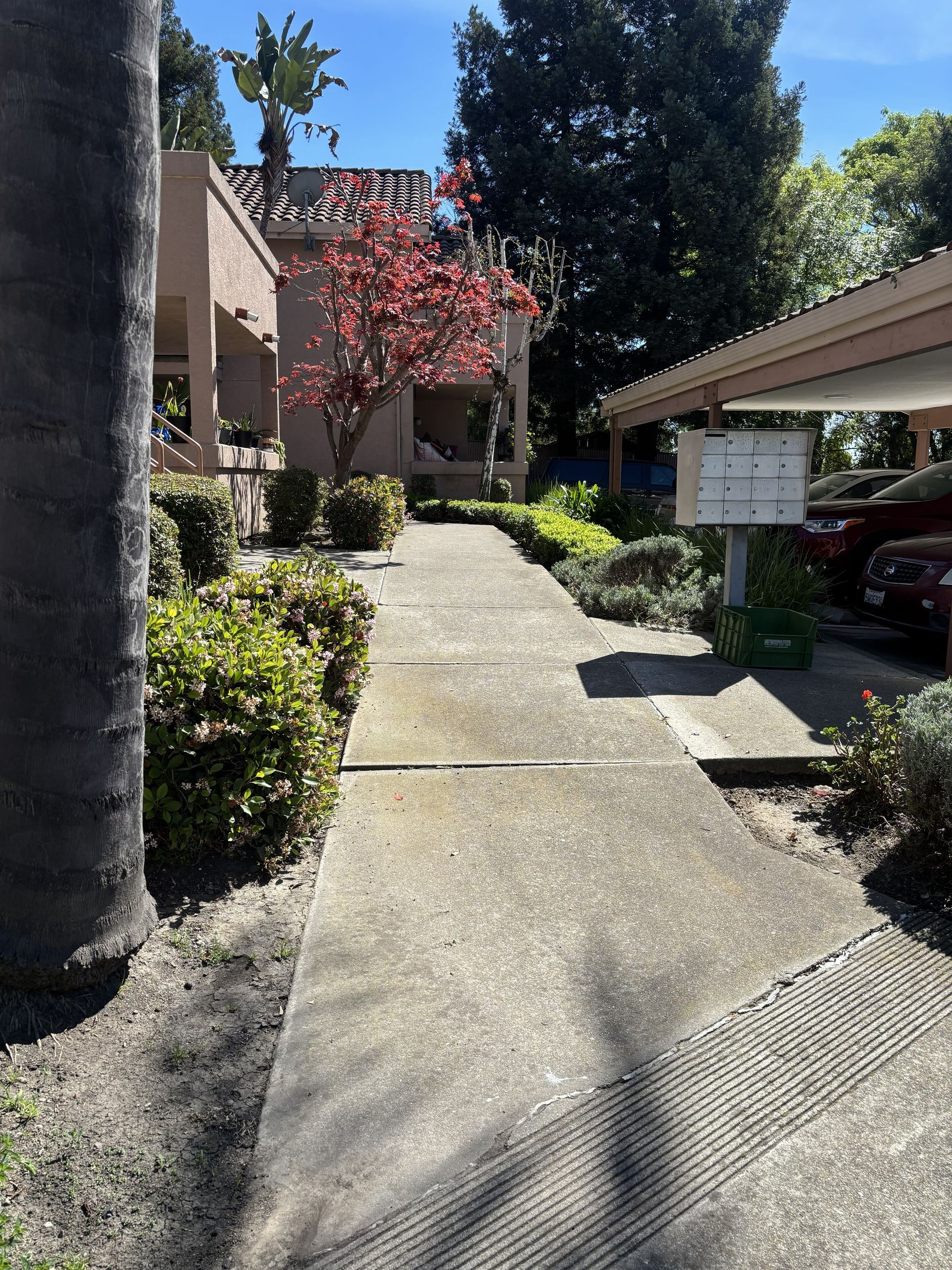 Concrete walkway leading toward a residential building with a car parked under a carport on the right.
