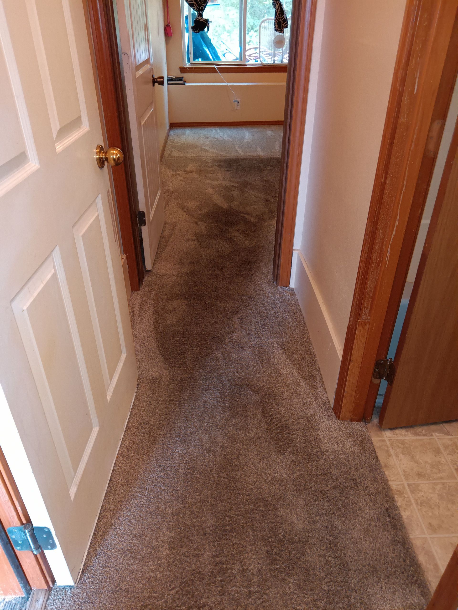 A hallway with a carpeted floor and wooden doors leading to a bathroom.