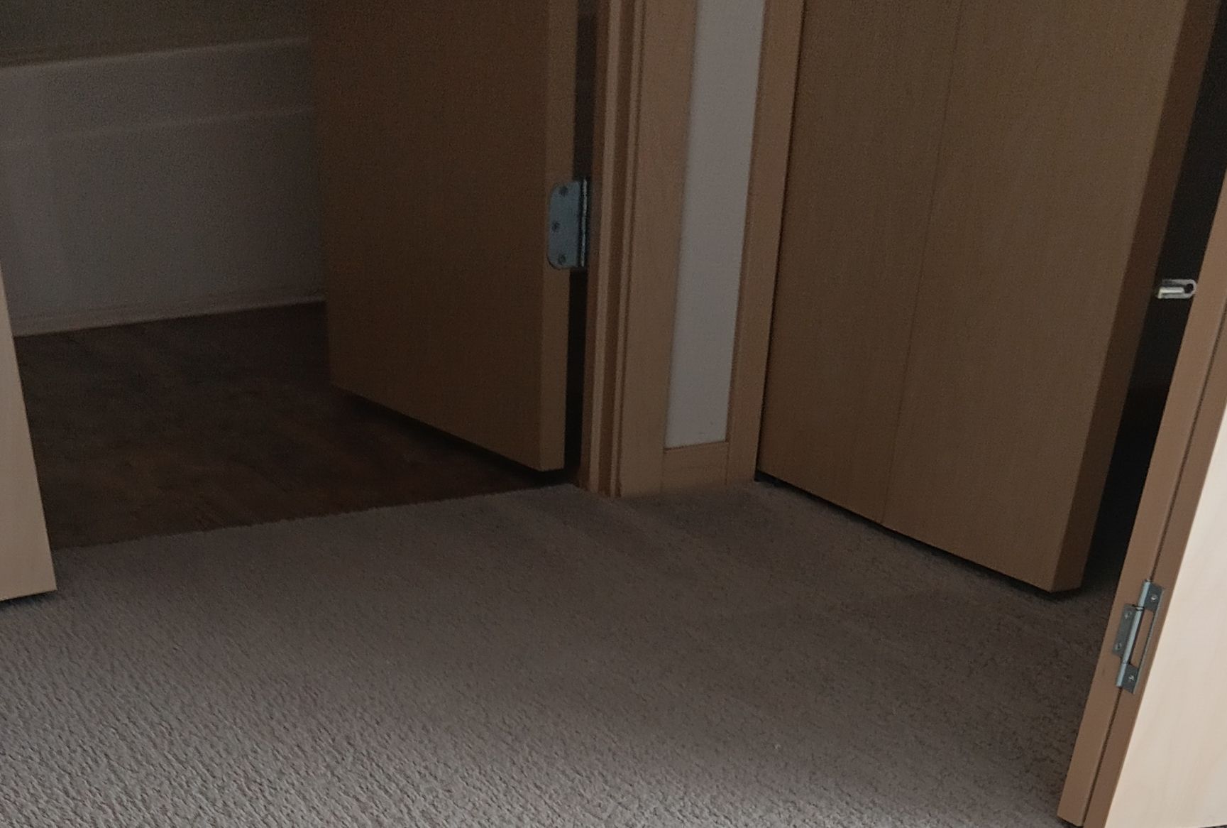 A room with two doors and a carpeted floor