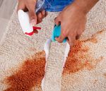 A person is cleaning a carpet with a spray bottle and a sponge.