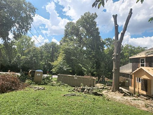 A large tree is being removed from a yard in front of a house.