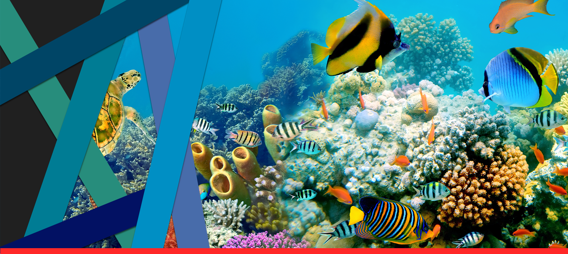 EPONER® LIFE masilla epóxica para acuarios