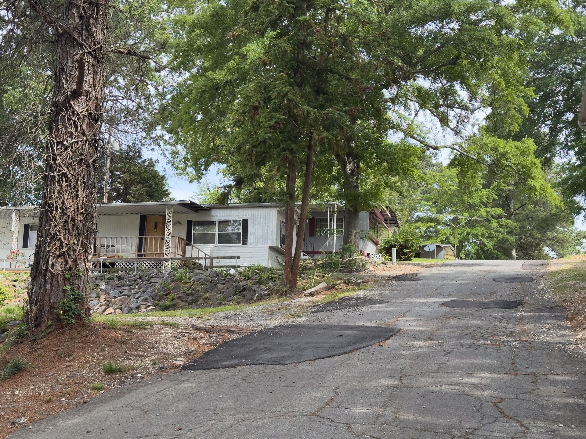 Tree-lined cracked road beside a small house in a quiet neighborhood