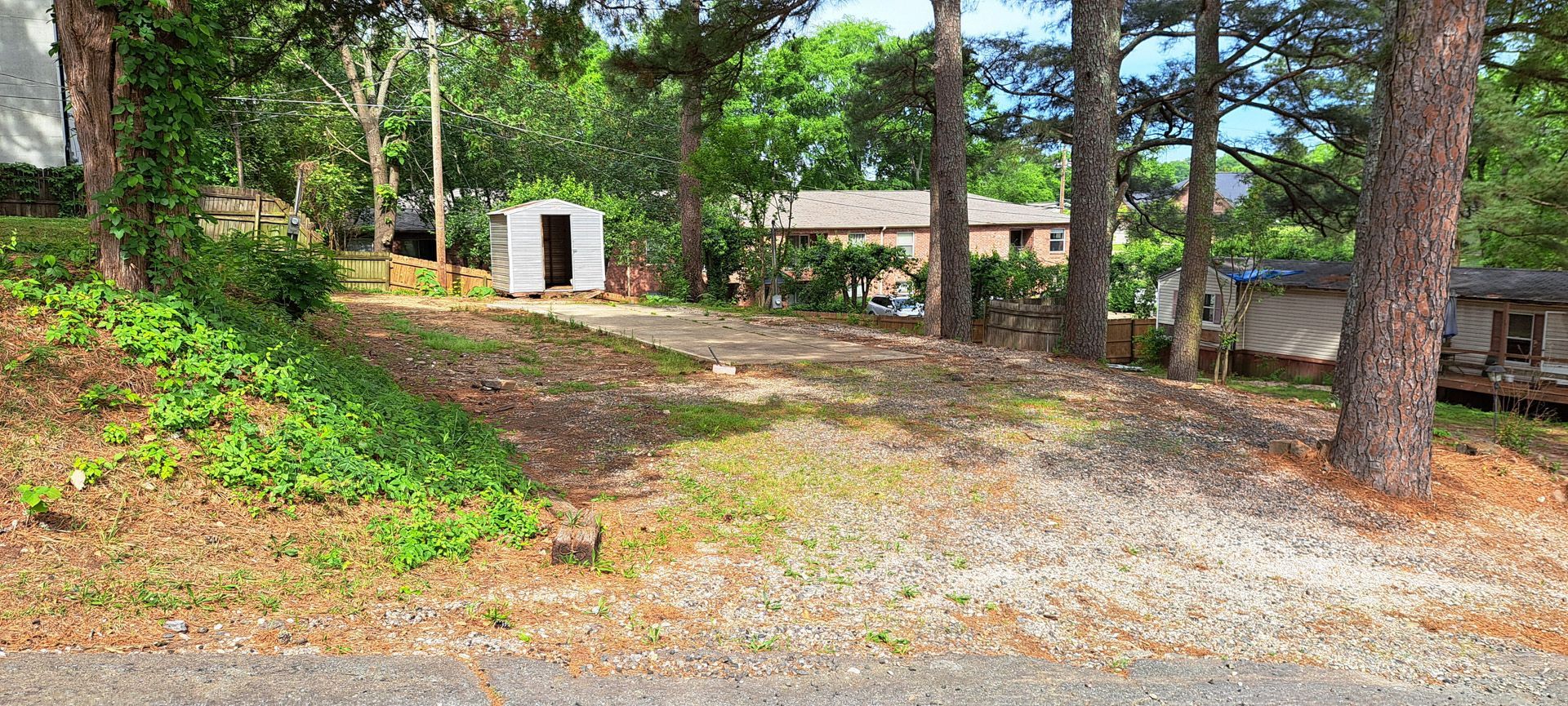 Gravel driveway beside a small white shed among pine trees in a wooded yard