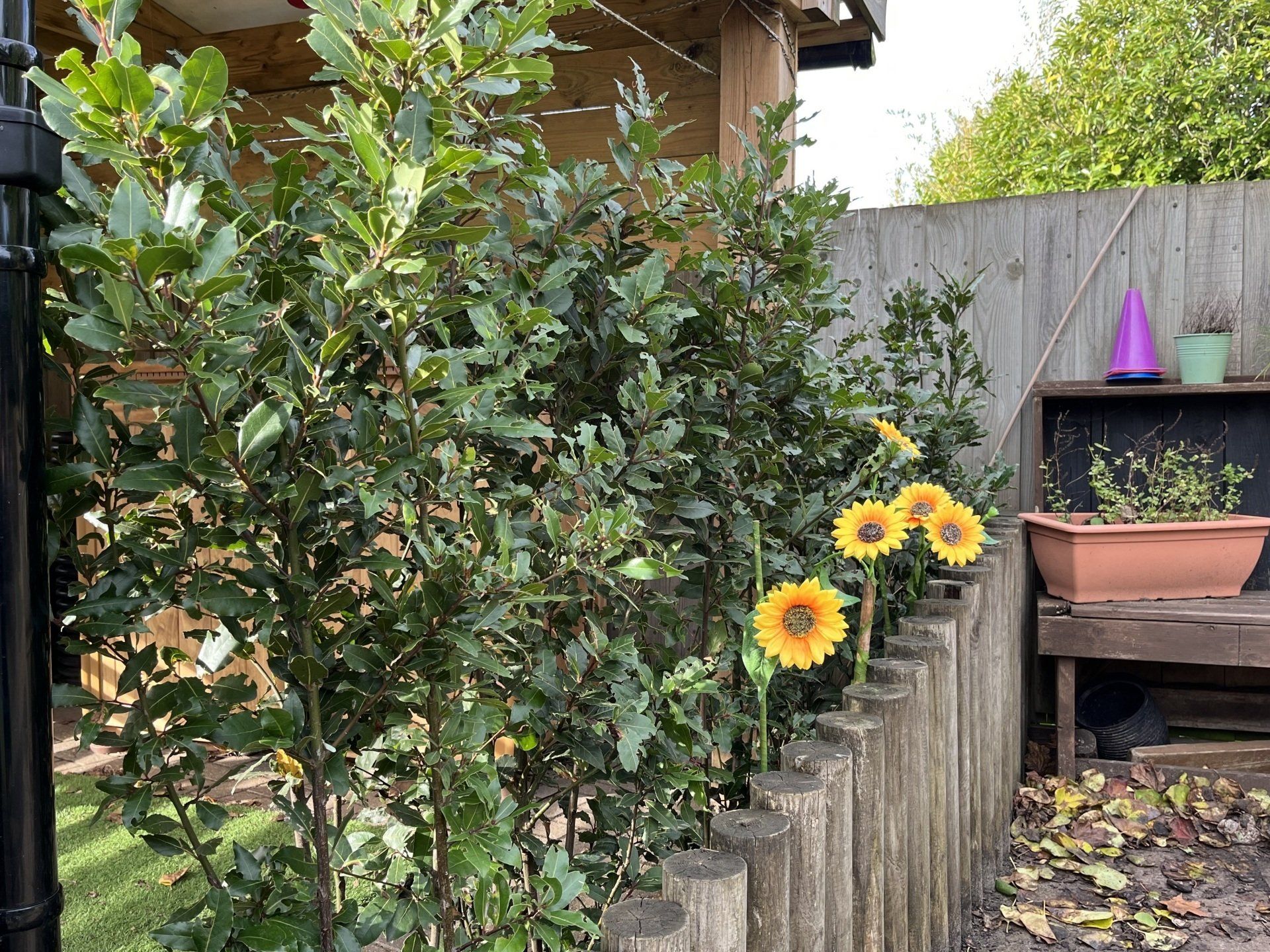 HOME Brampton Day Nursery