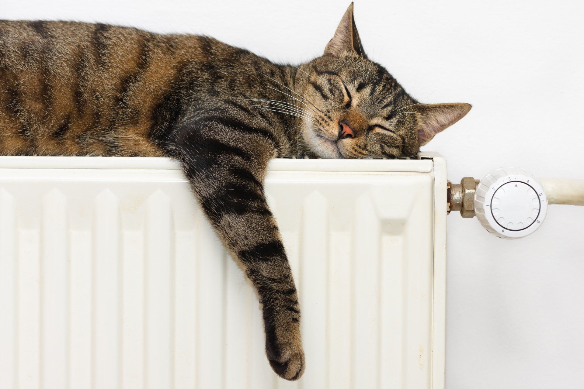 Is Hydronic Heating Right for Your Aussie Home?