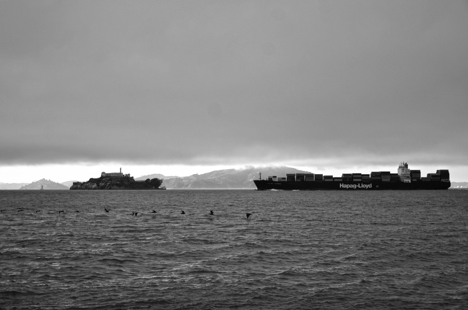 Phoques à Pier 39 à San Francisco