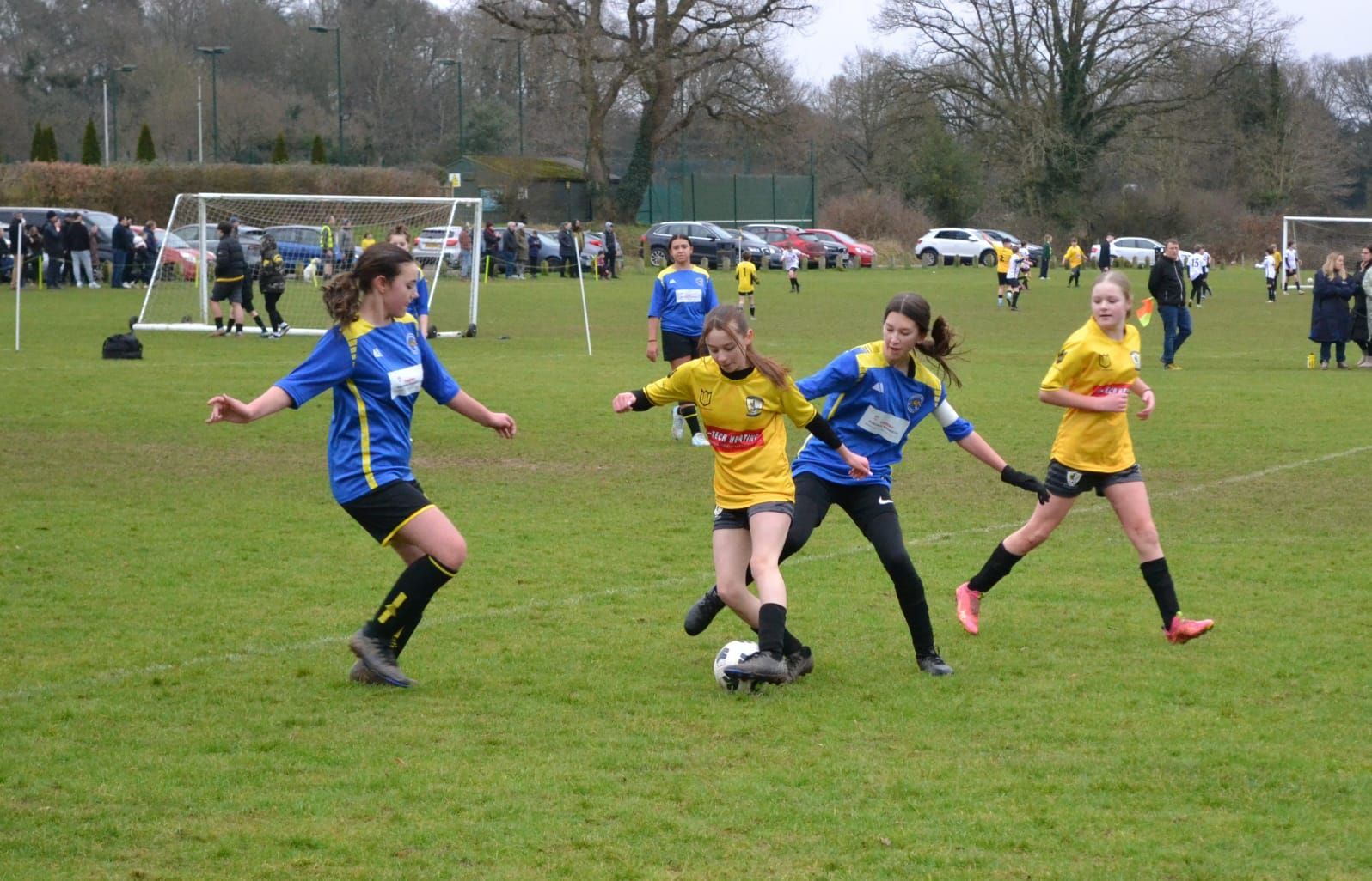 A group of girls are playing soccer on a field.