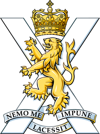 A lion with a crown and the words nemo me impune