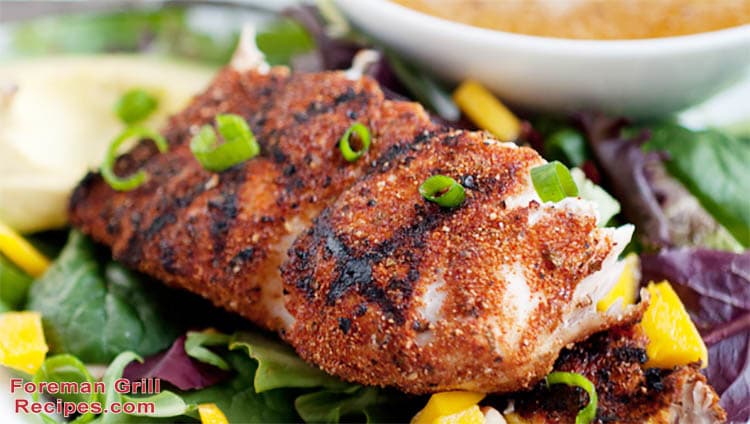 Blackened fish fillet on salad with dressing and scallions.