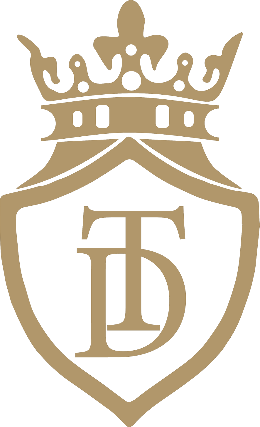 LOGO TD DISTRIBUZIONE