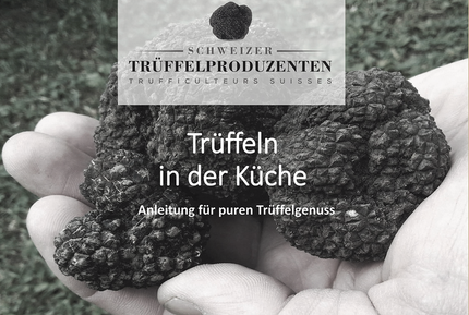 Rezepte-432w.png