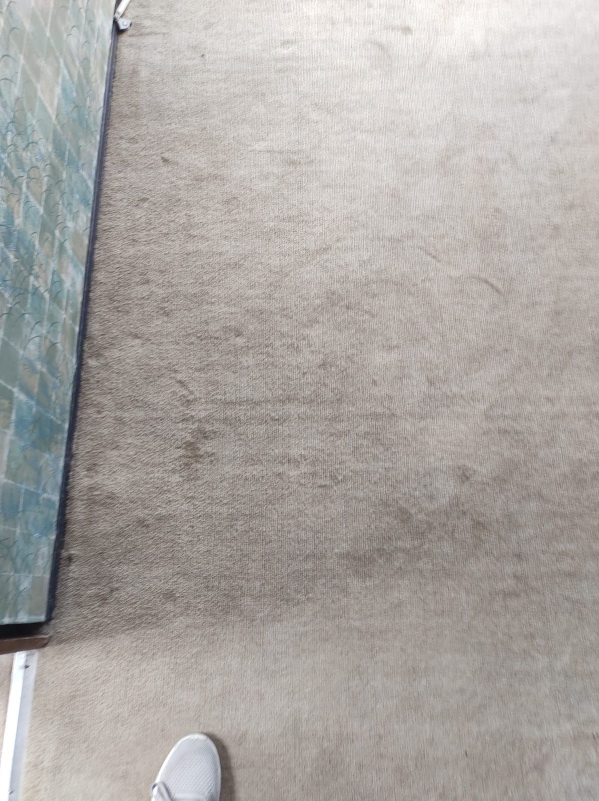CLEAN DRY LATINO - Lavado de alfombras