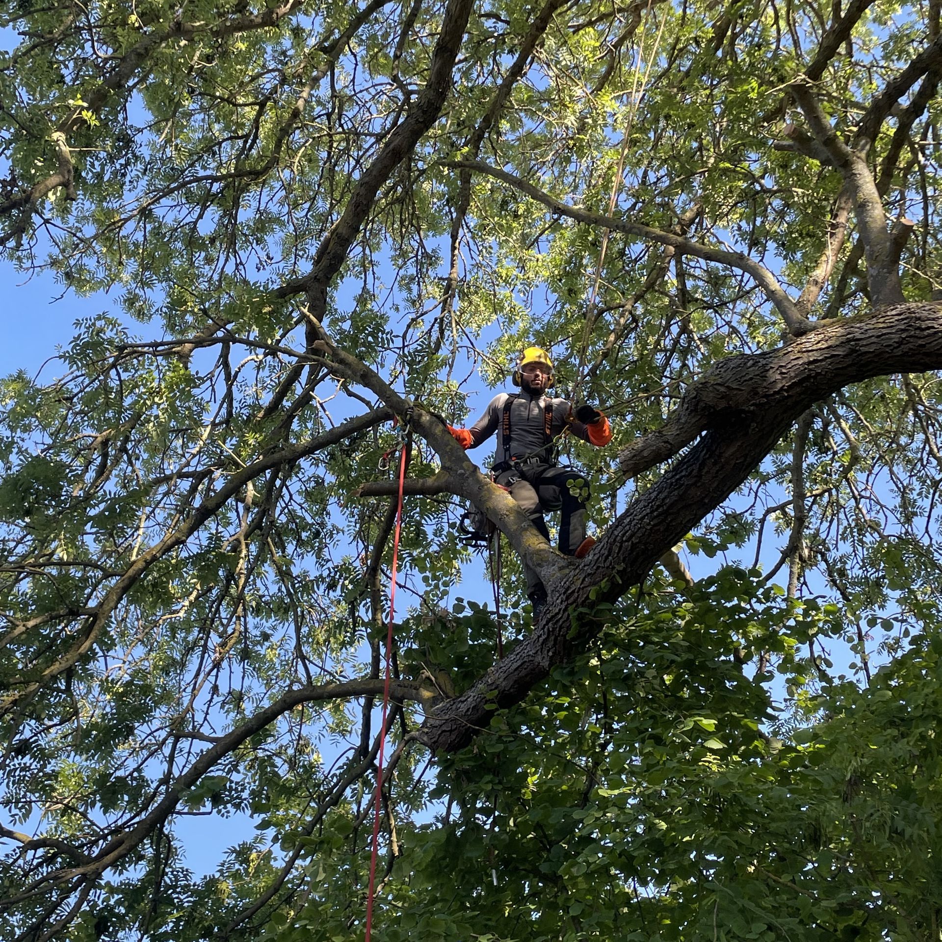 travaux dangereux des espaces verts