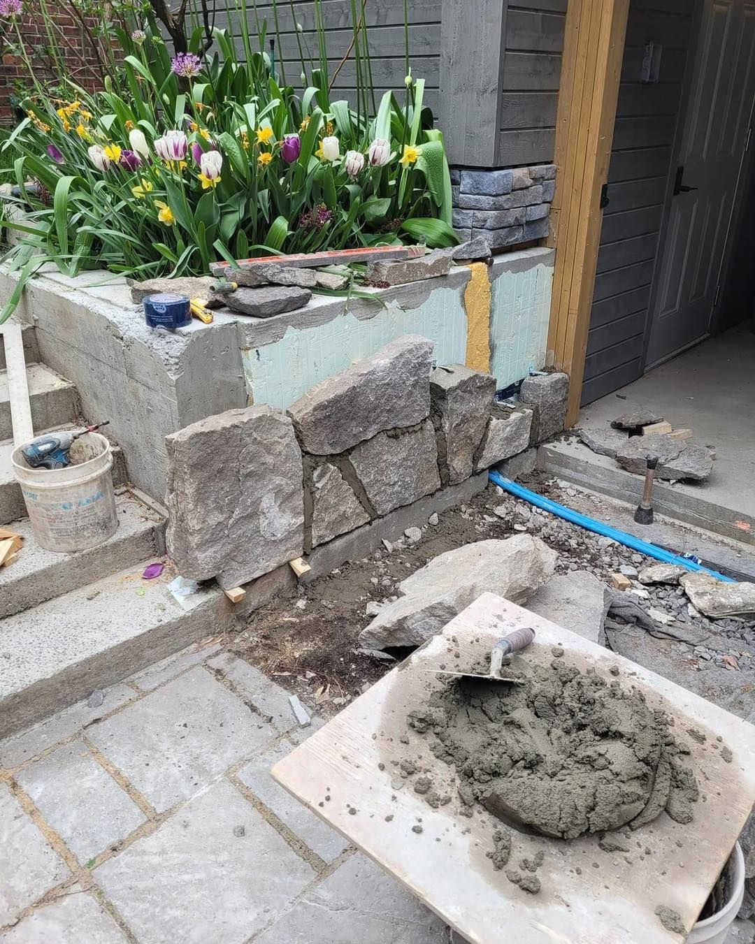 Construction d'un mur en pierre avec mortier et outils, à proximité d'un jardin de tulipes.