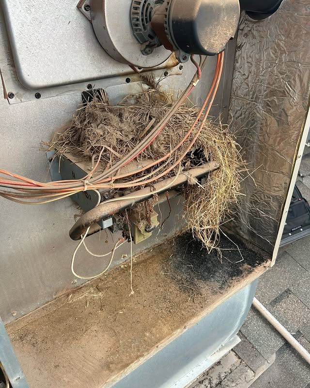 Furnace with bird nest lodged around the burner.  Brown debris, wires, and metal components.