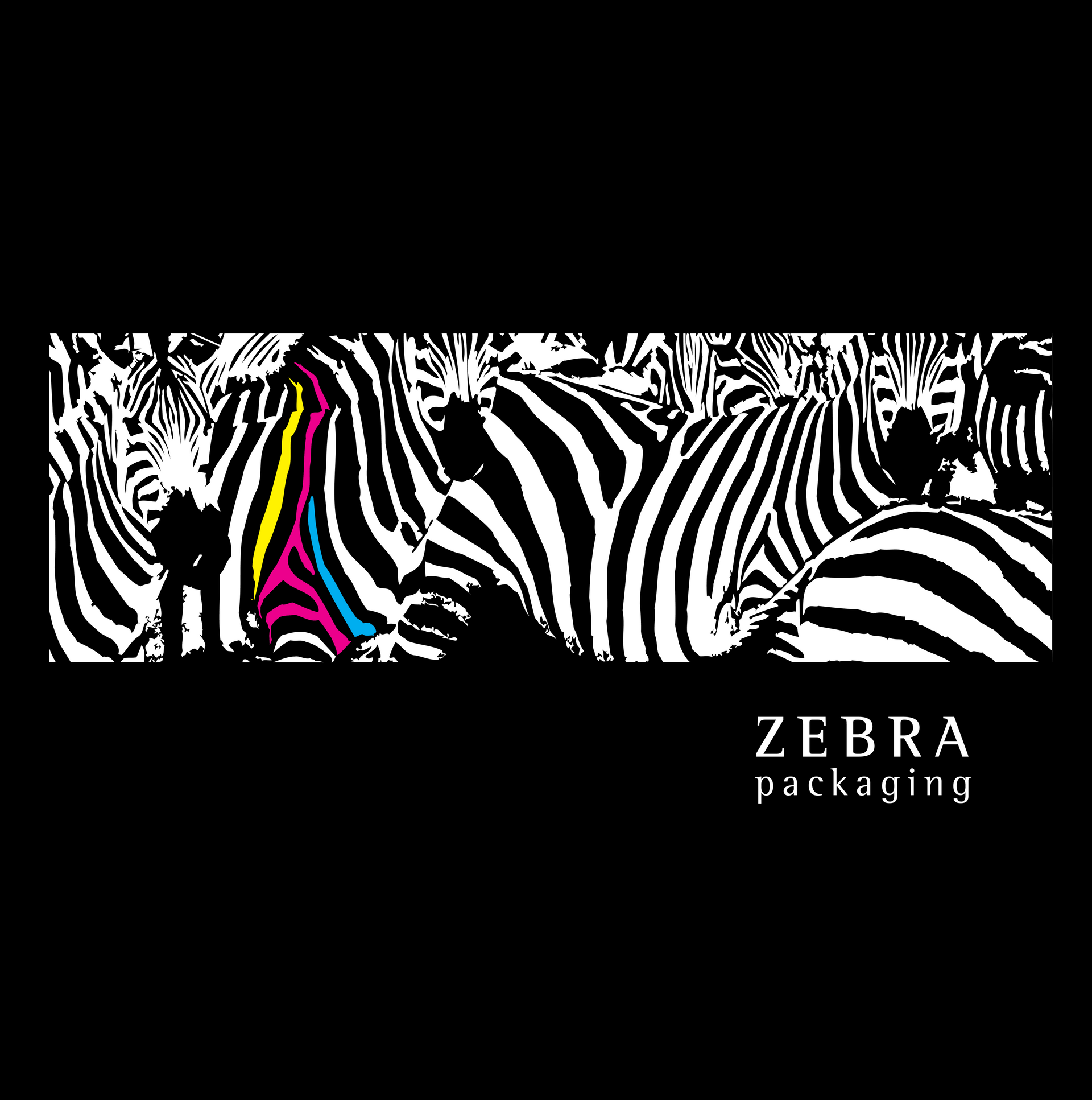 Black and white image of zebras with one zebra colored in pink, yellow and blue. Text: 