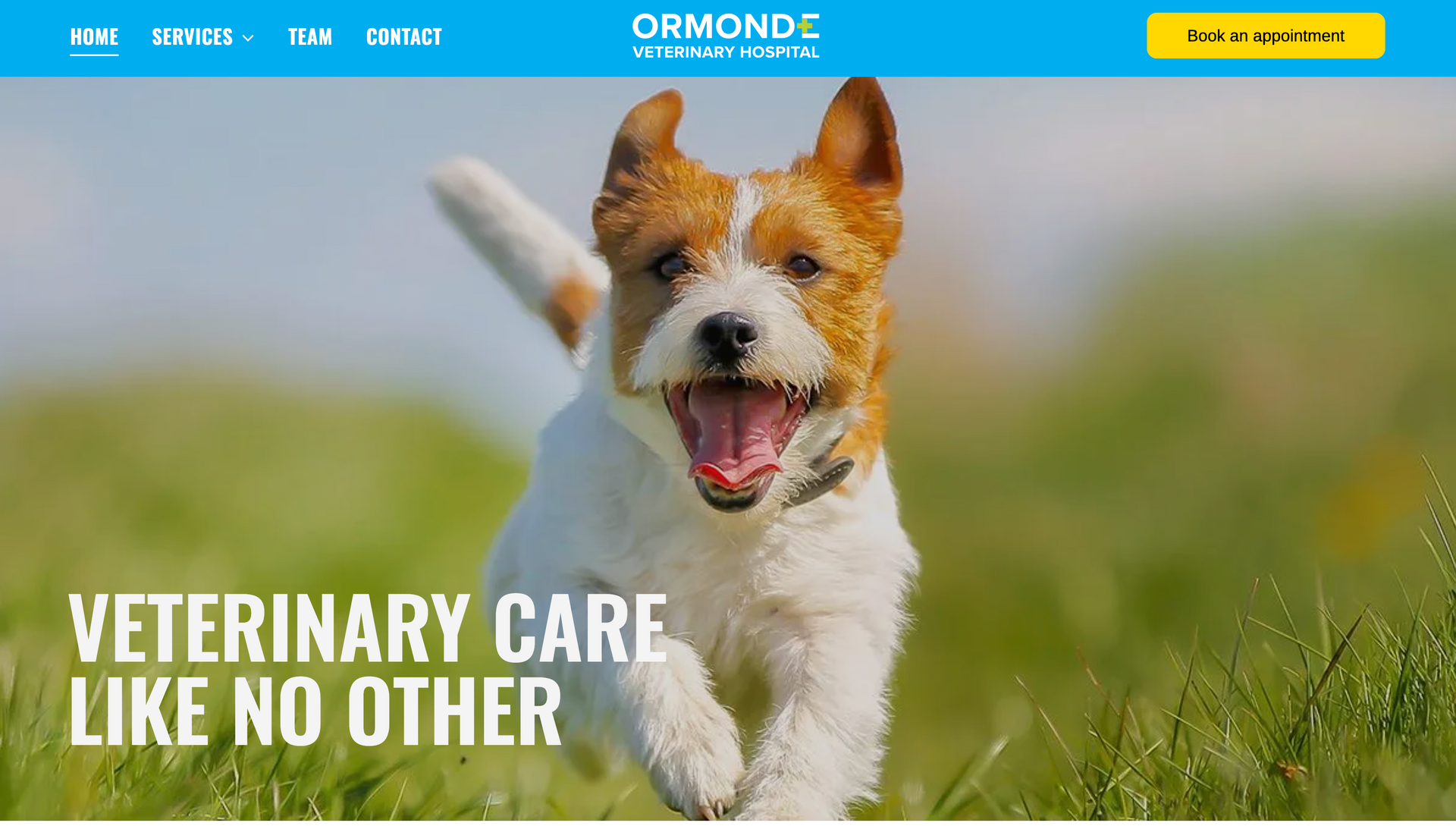 Happy dog running in grass, website banner for 