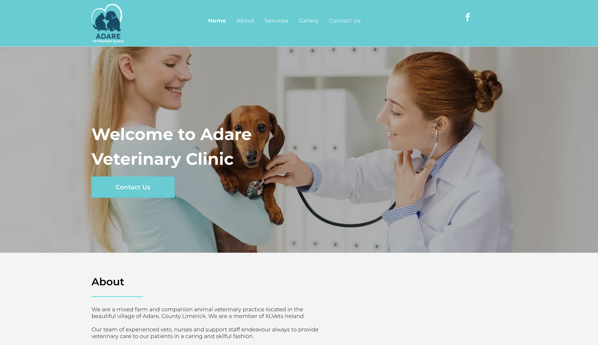 Woman holding dog while vet listens with stethoscope at Adare Veterinary Clinic.
