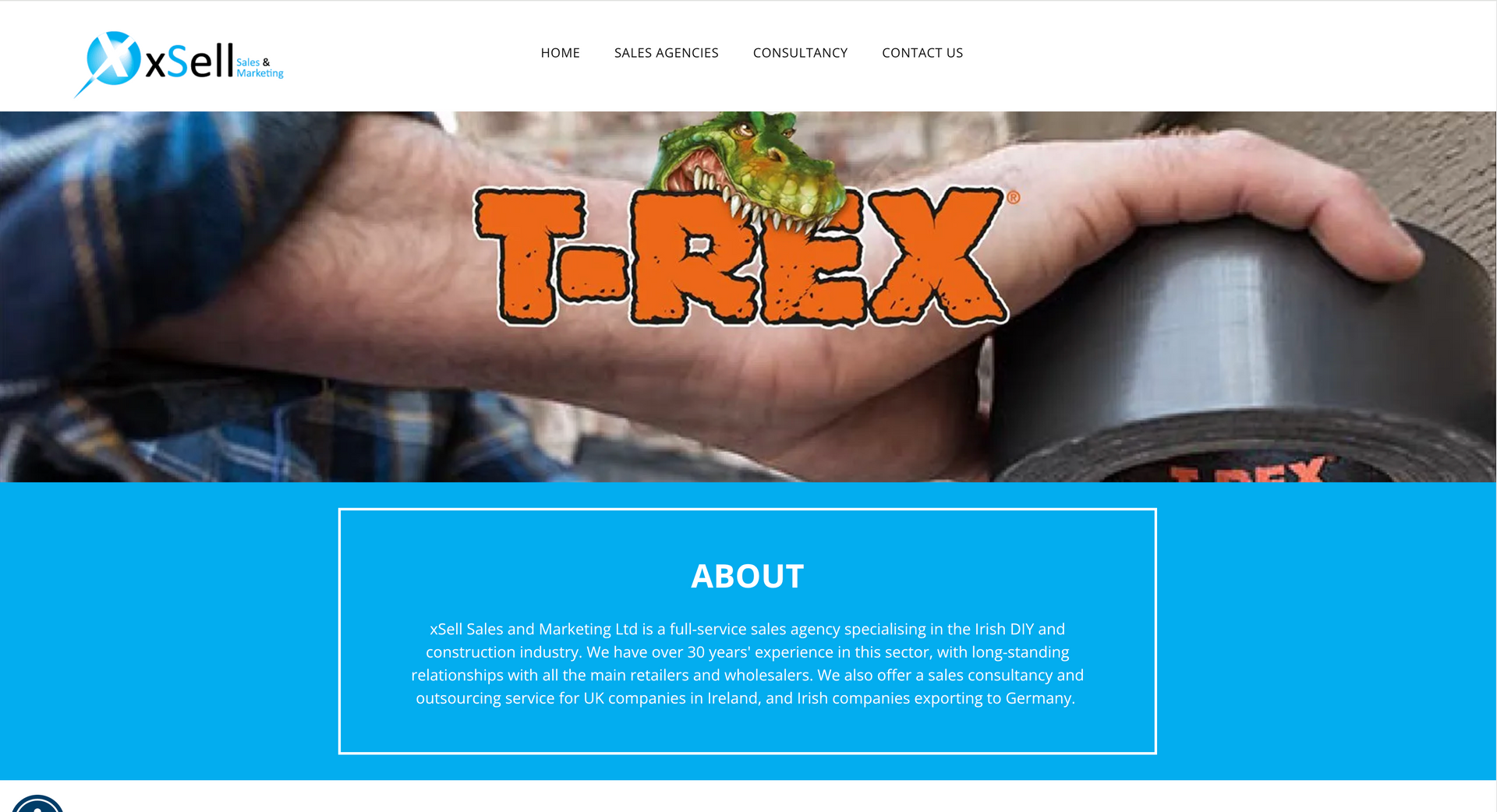 Man's hand holding a roll of T-Rex tape with a dinosaur toy on top. Text 