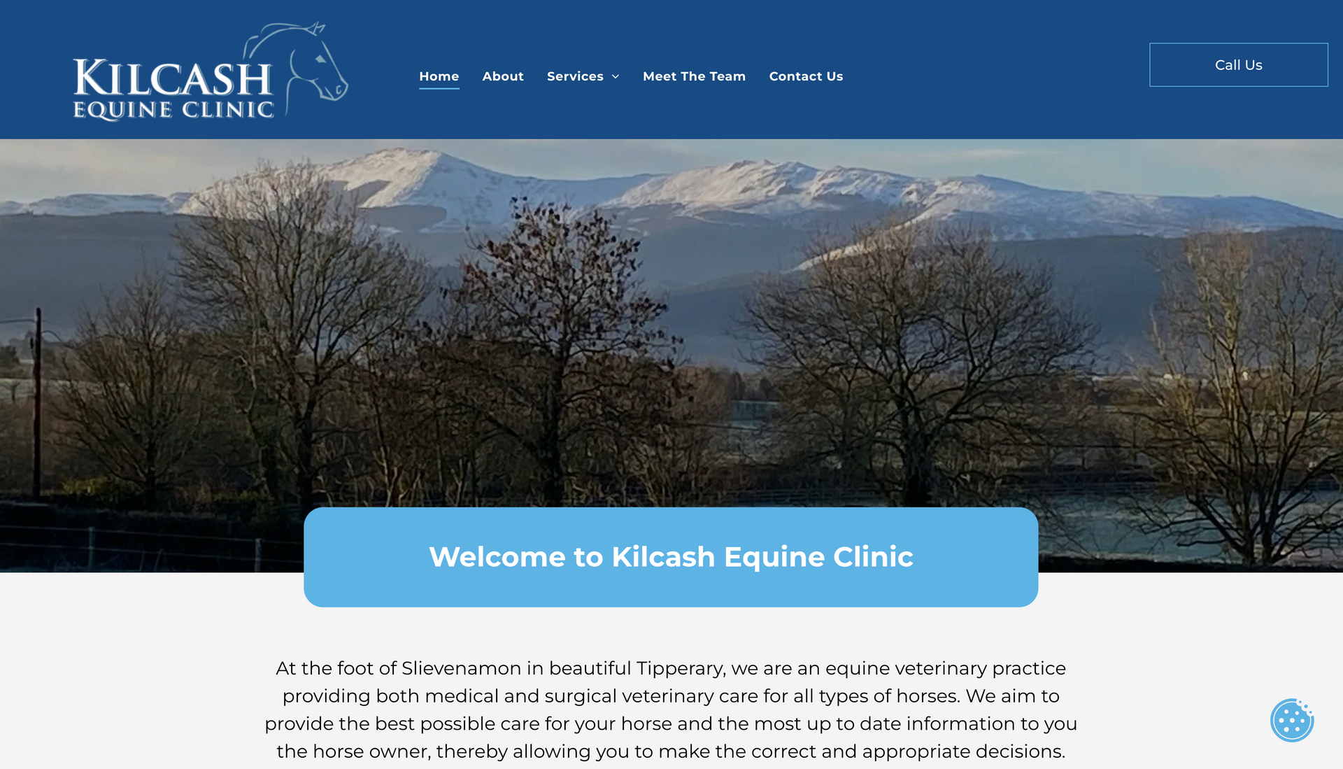 Kilcash Equine Clinic website homepage with mountain view.