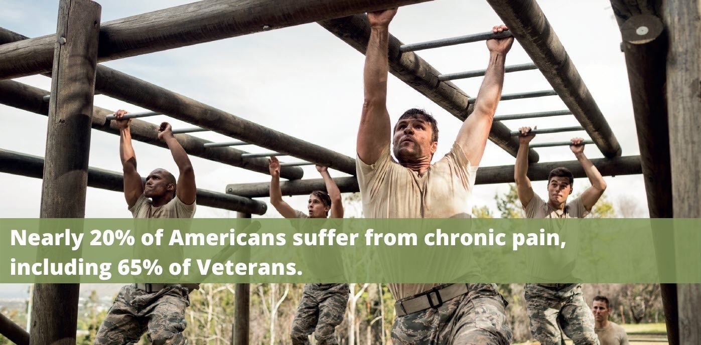 The Future of Wellness - Chiropractic for Veterans