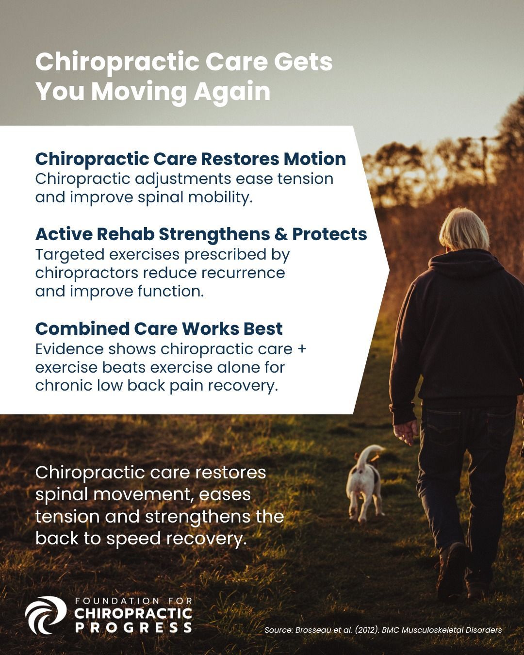 Person walking dog through field at golden sunset