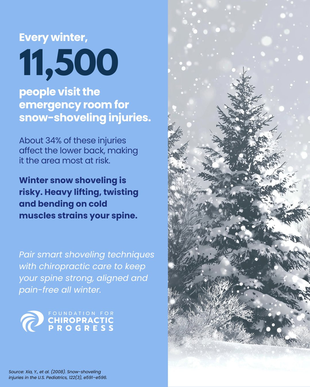 Snow-covered evergreen tree in winter storm
