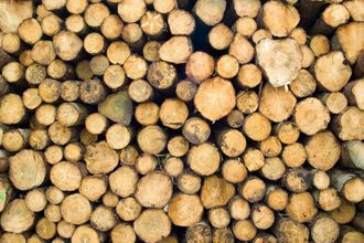 Tree Cutting — Pile of woods in Vista, CA