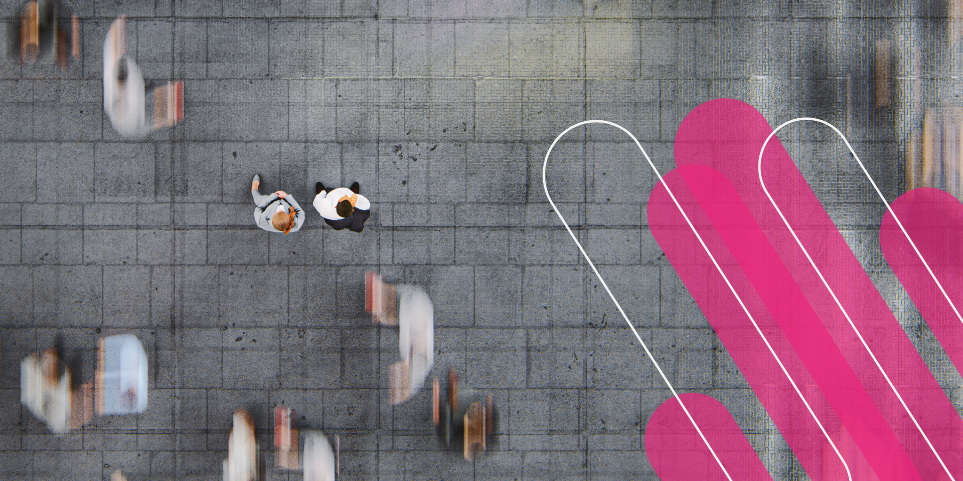 How will your organisation stand out amongst your competitors - PPD Search - Blog