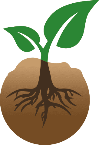 plant and roots in soil