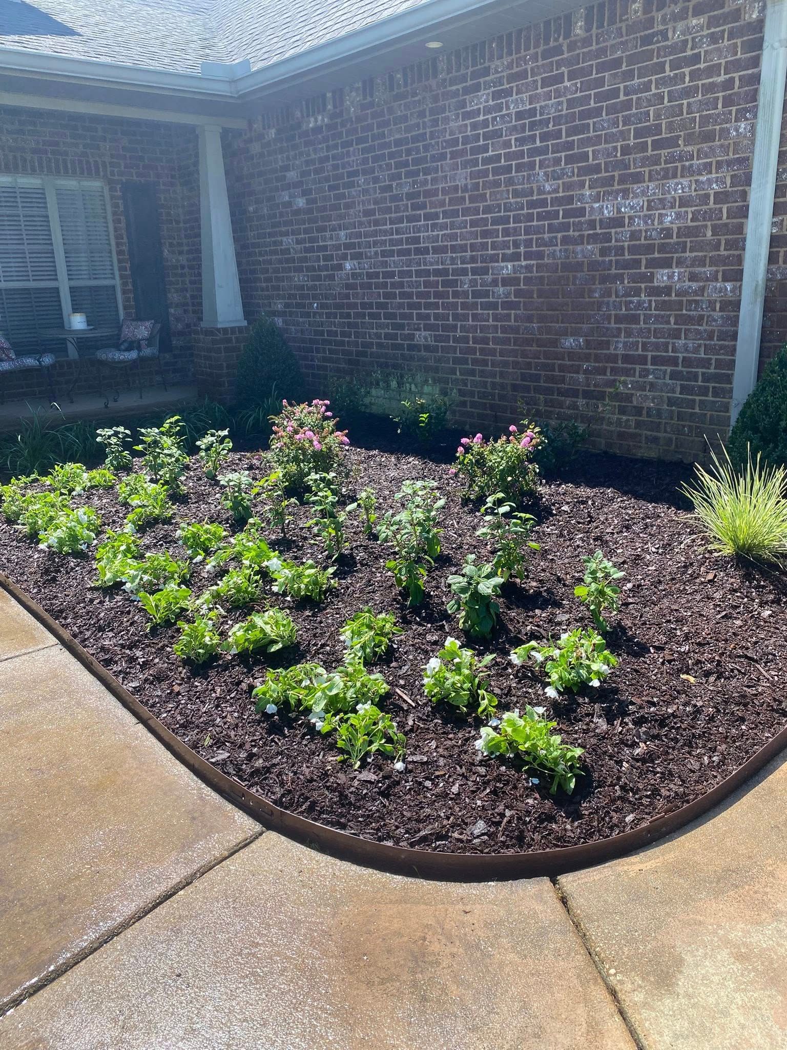 Flower bed in front of a brick house with green plants and brown mulch; edged by a concrete sidewalk.