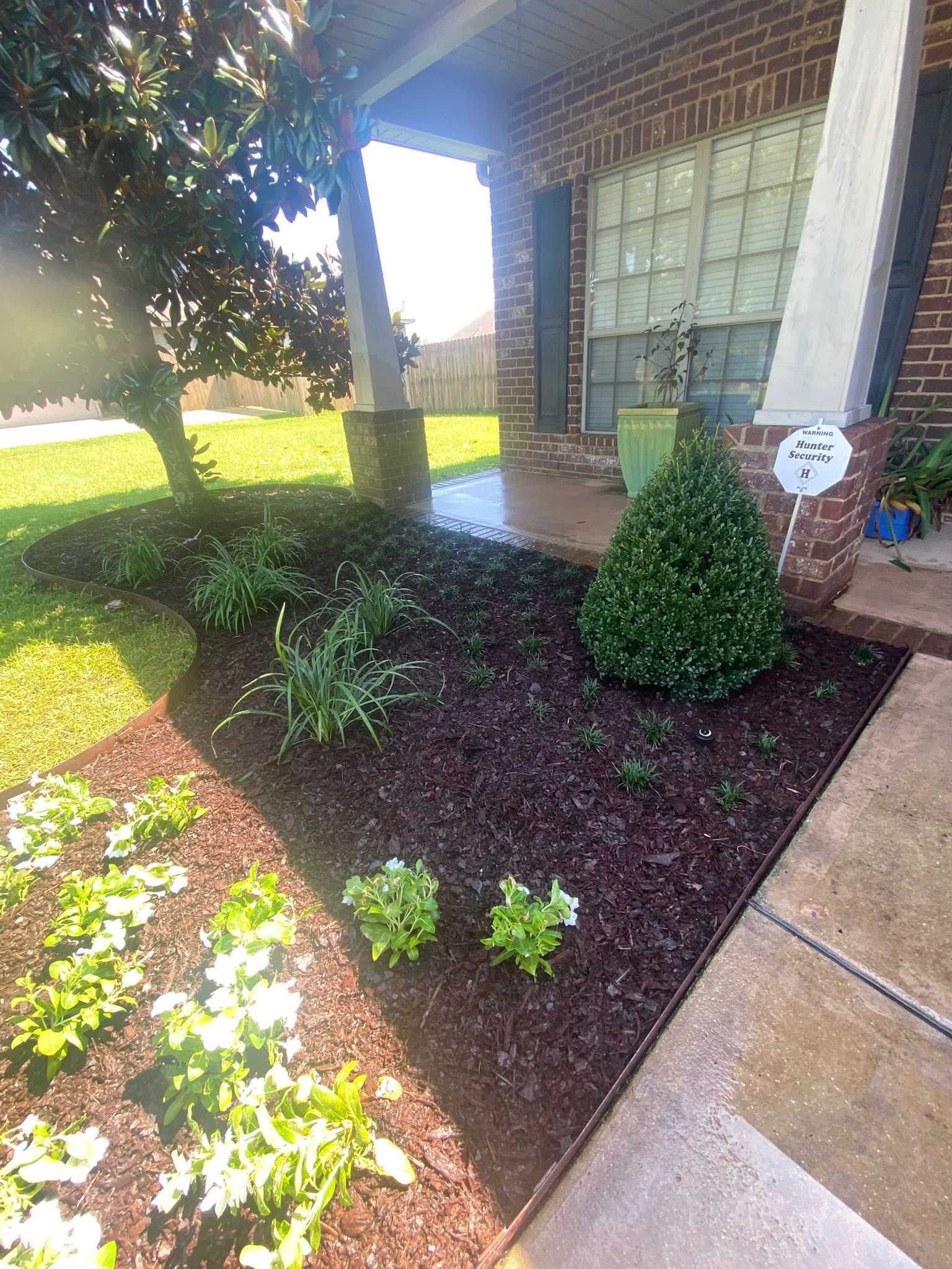 Flowerbed with dark mulch, various plants, and a small, trimmed evergreen bush in front of a brick house.