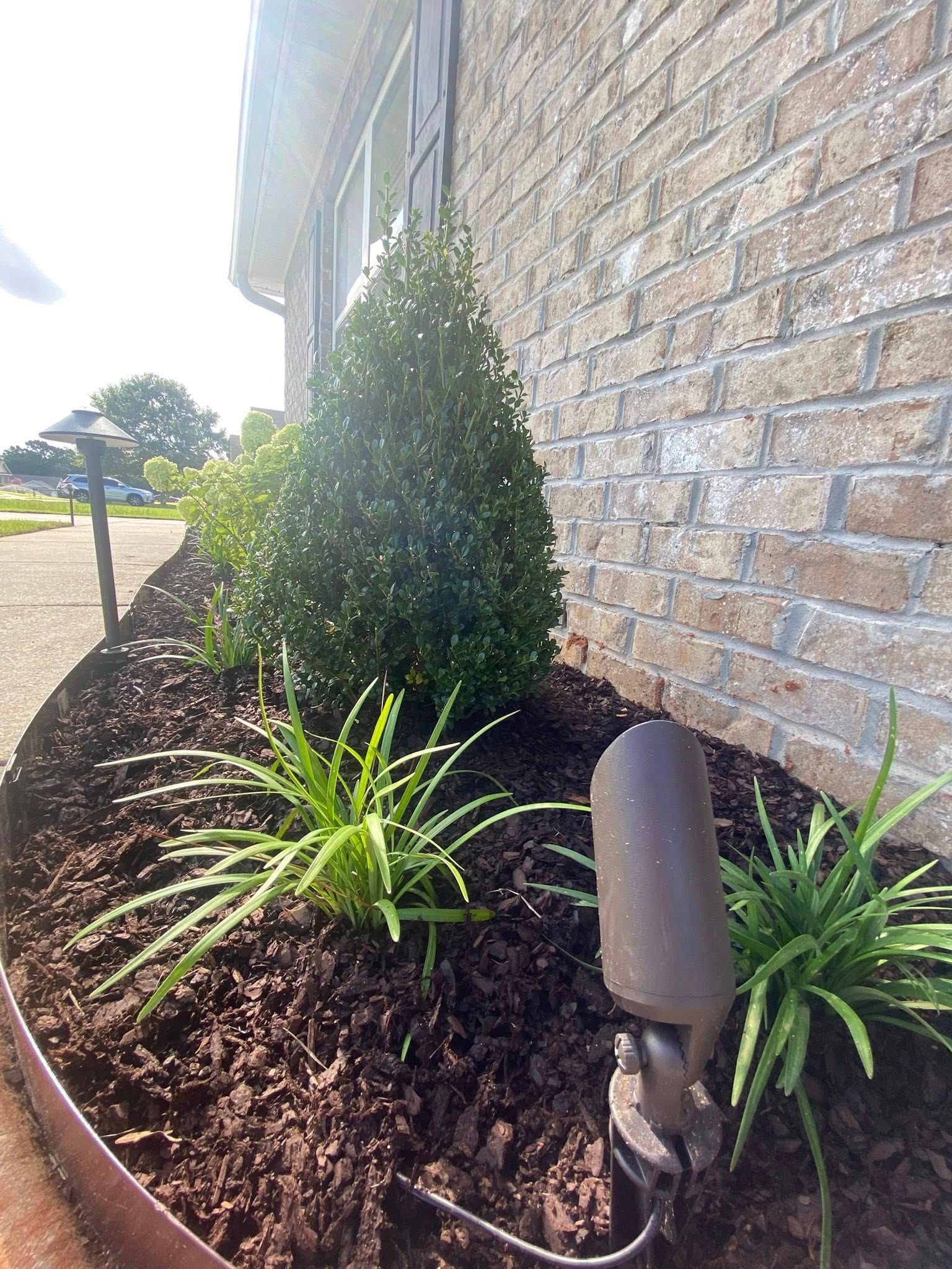Brick building with landscaped flower bed and shrubs.