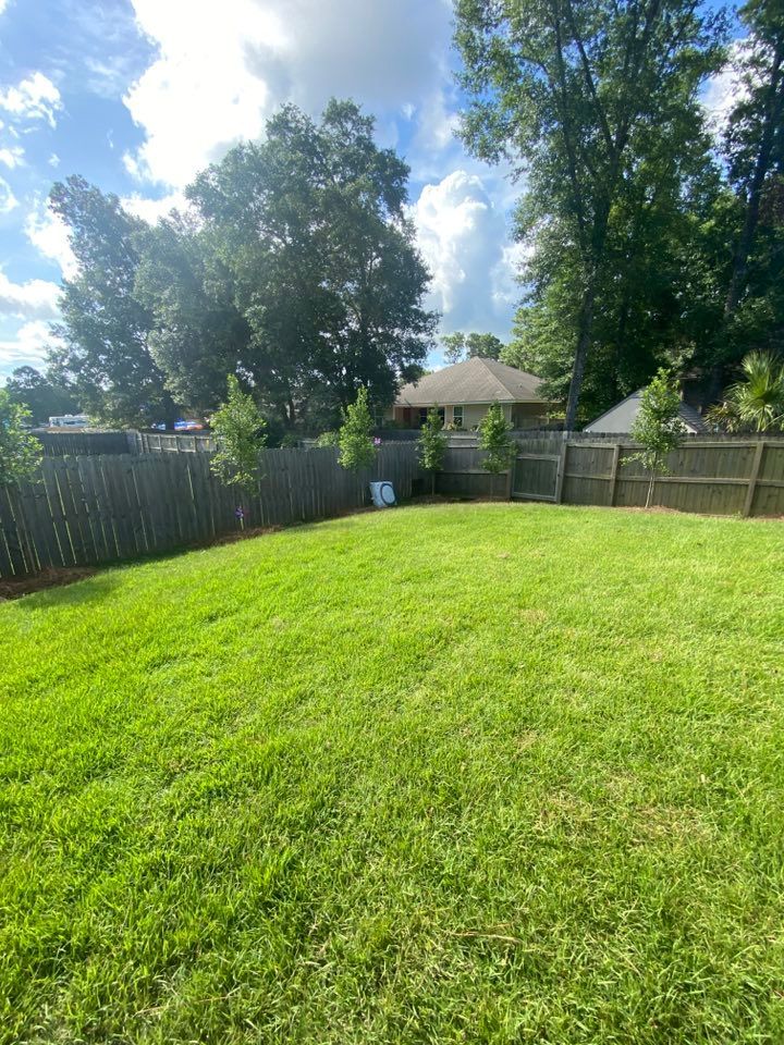 Green backyard with trees, wooden fence, and partly cloudy sky.